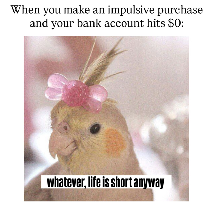 When you make an impulsive purchase and your bank account hits $0: whatever, life is short anyway