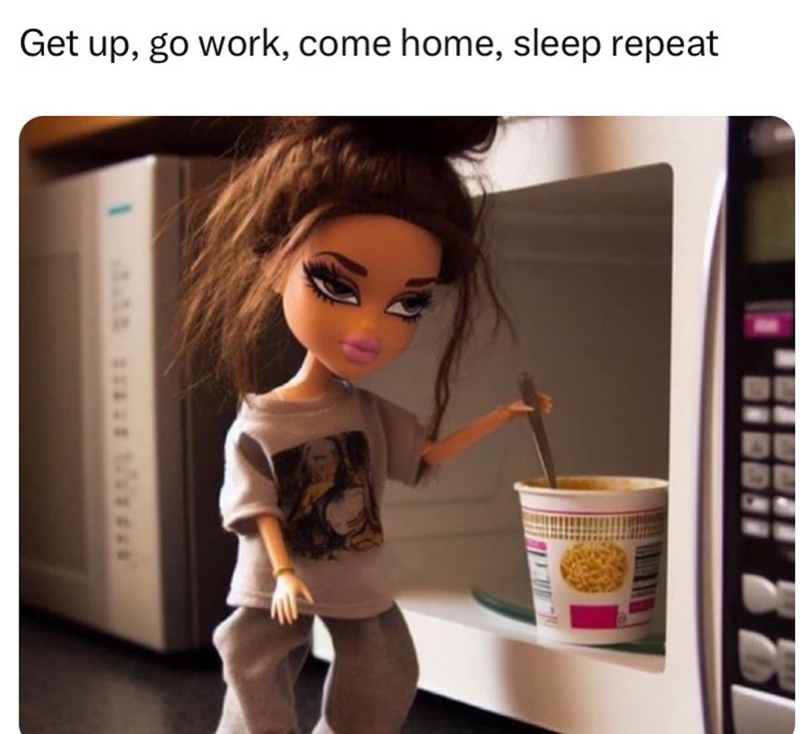 Get up, go work, come home, sleep repeat