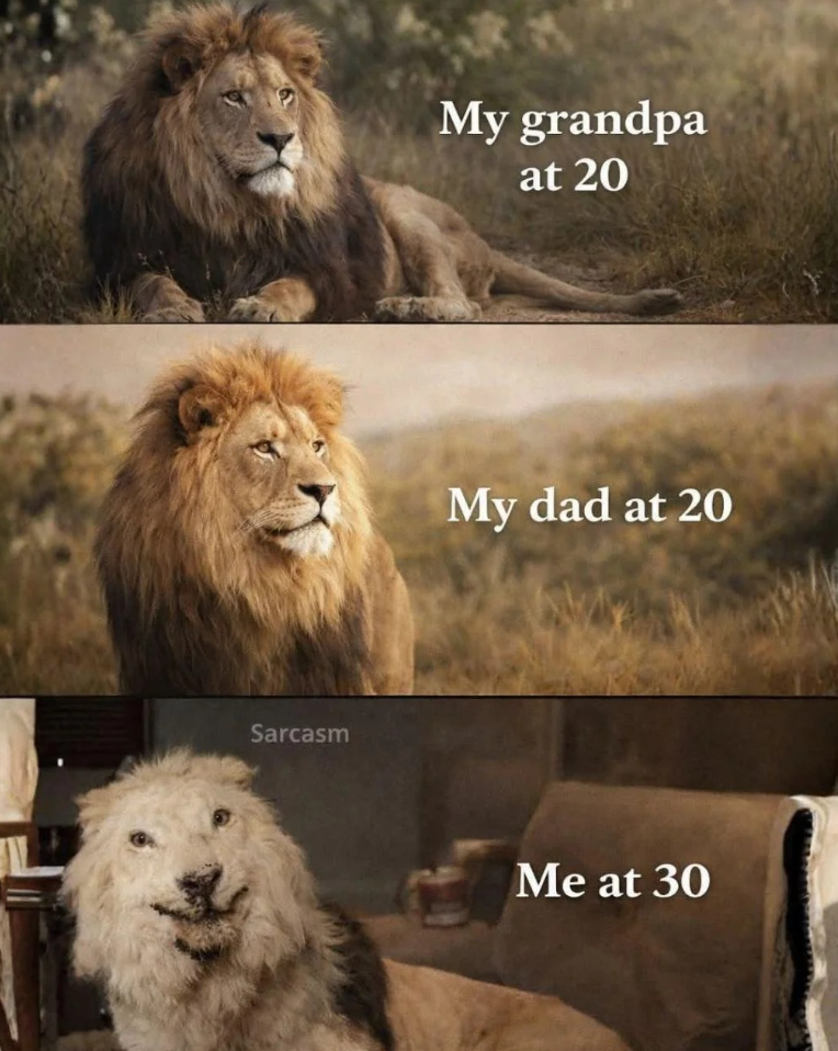 Sarcasm My grandpa at 20 My dad at 20 Me at 30