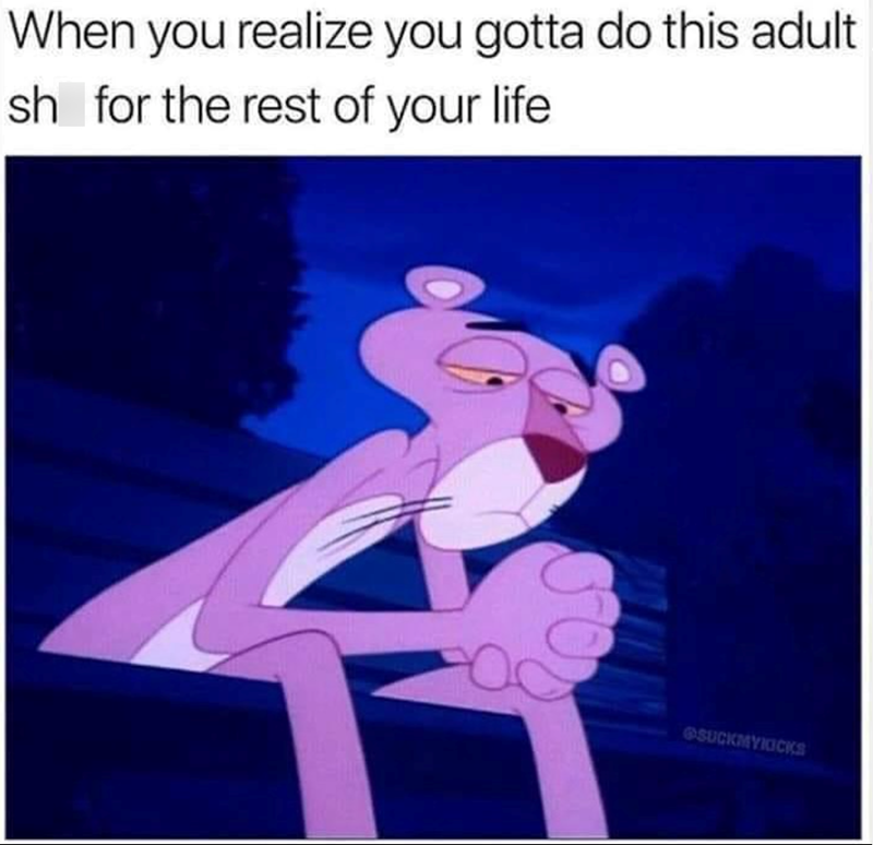 When you realize you gotta do this adult sh for the rest of your life SUCKMYKICKS