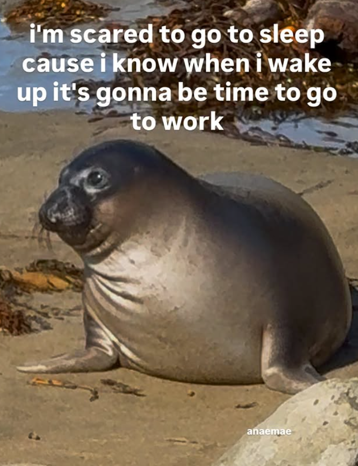 i'm scared to go to sleep cause i know when i wake up it's gonna be time to go to work anaemae