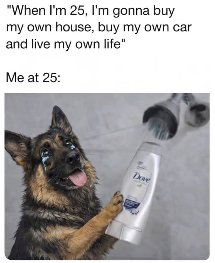 "When I'm 25, I'm gonna buy my own house, buy my own car and live my own life" Me at 25: Dove