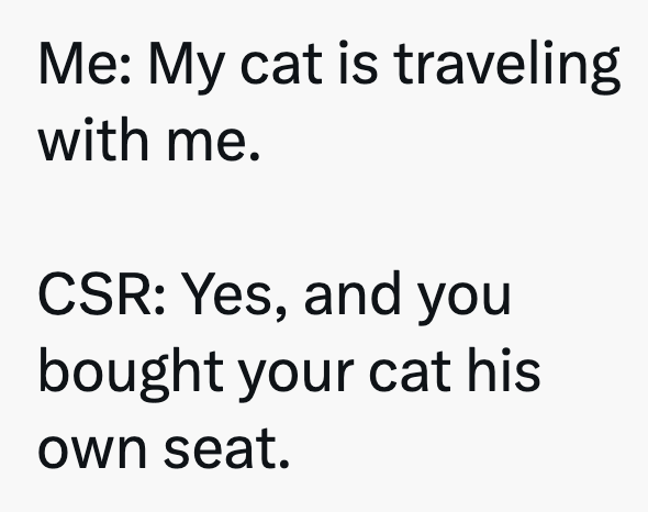 Me: My cat is traveling with me. CSR: Yes, and you bought your cat his own seat.
