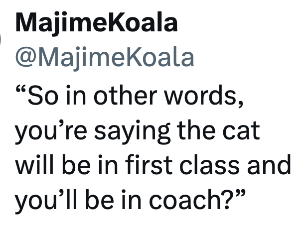 MajimeKoala @MajimeKoala "So in other words, you're saying the cat will be in first class and you'll be in coach?"