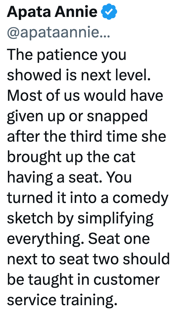Apata Annie @apataannie... The patience you showed is next level. Most of us would have given up or snapped after the third time she brought up the cat having a seat. You turned it into a comedy sketch by simplifying everything. Seat one next to seat two should be taught in customer service training.