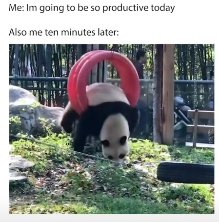 Me: Im going to be so productive today Also me ten minutes later: