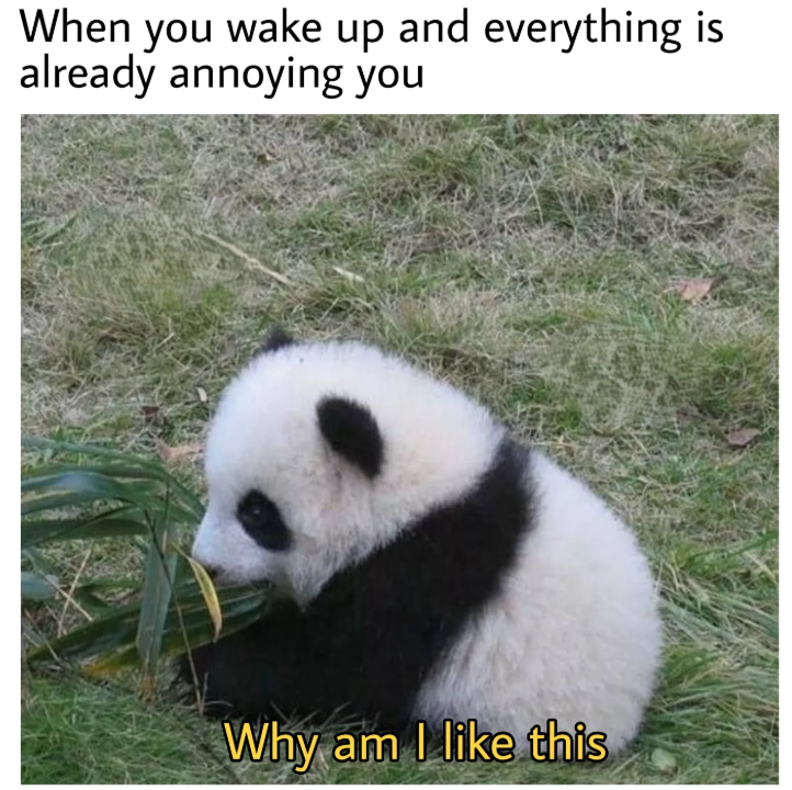 When you wake up and everything is already annoying you Why am I like this