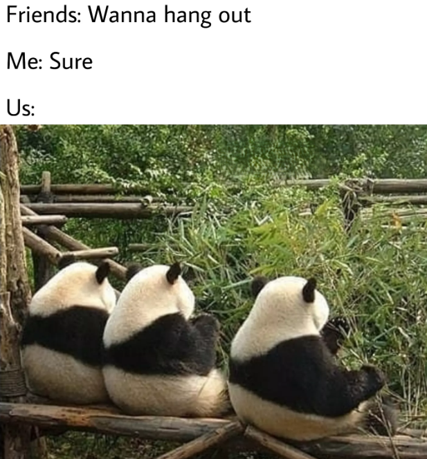 Friends: Wanna hang out Me: Sure Us: