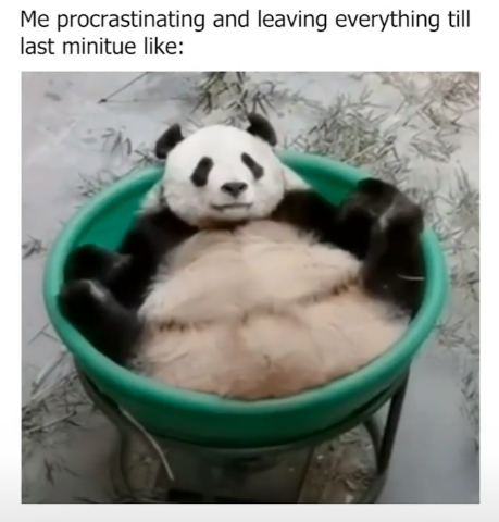 Me procrastinating and leaving everything till last minitue like: