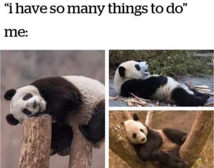 "i have so many things to do" me: