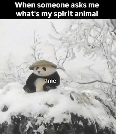 When someone asks me what's my spirit animal *me
