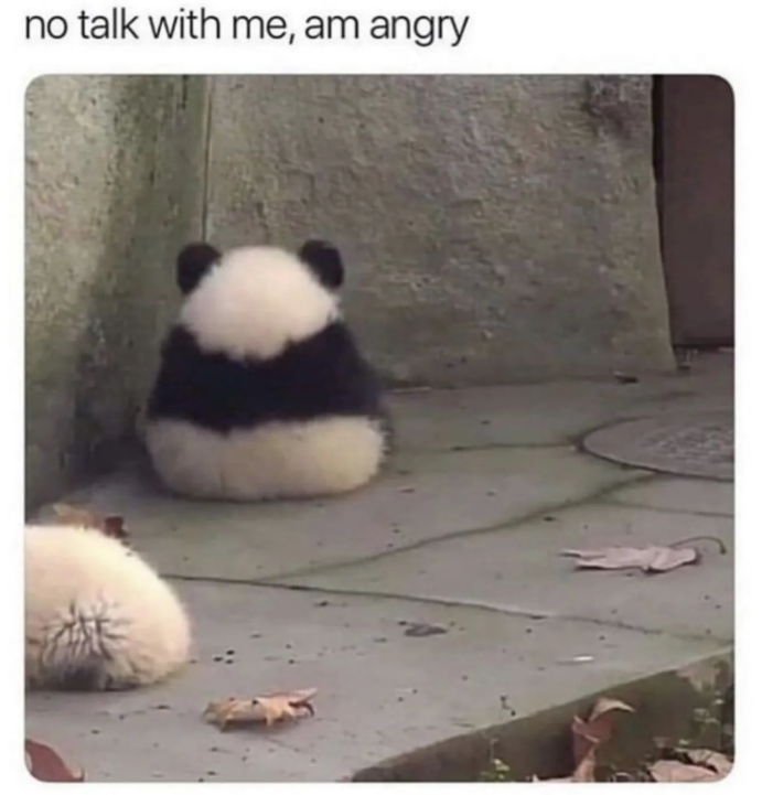 no talk with me, am angry