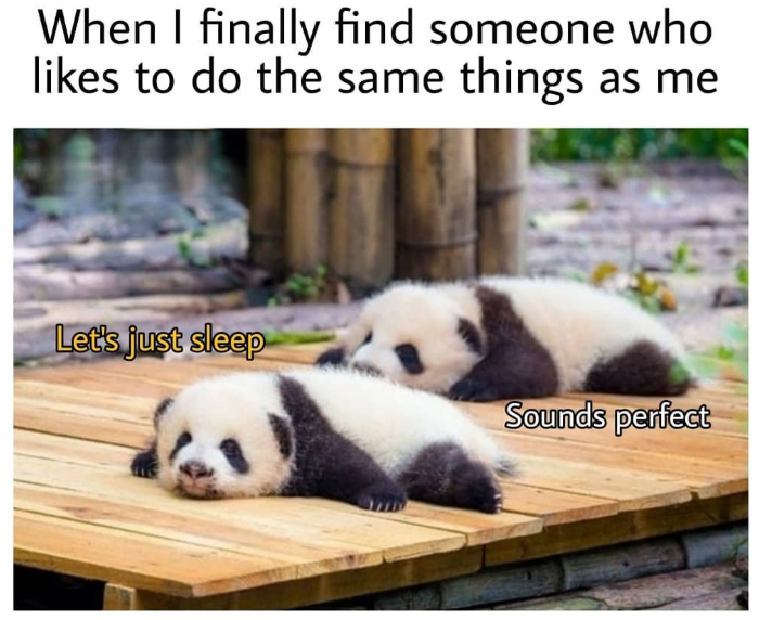 When I finally find someone who likes to do the same things as me Let's just sleep Sounds perfect