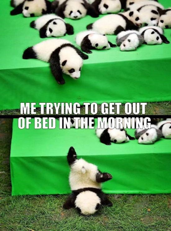 ME TRYING TO GET OUT OF BED IN THE MORNING