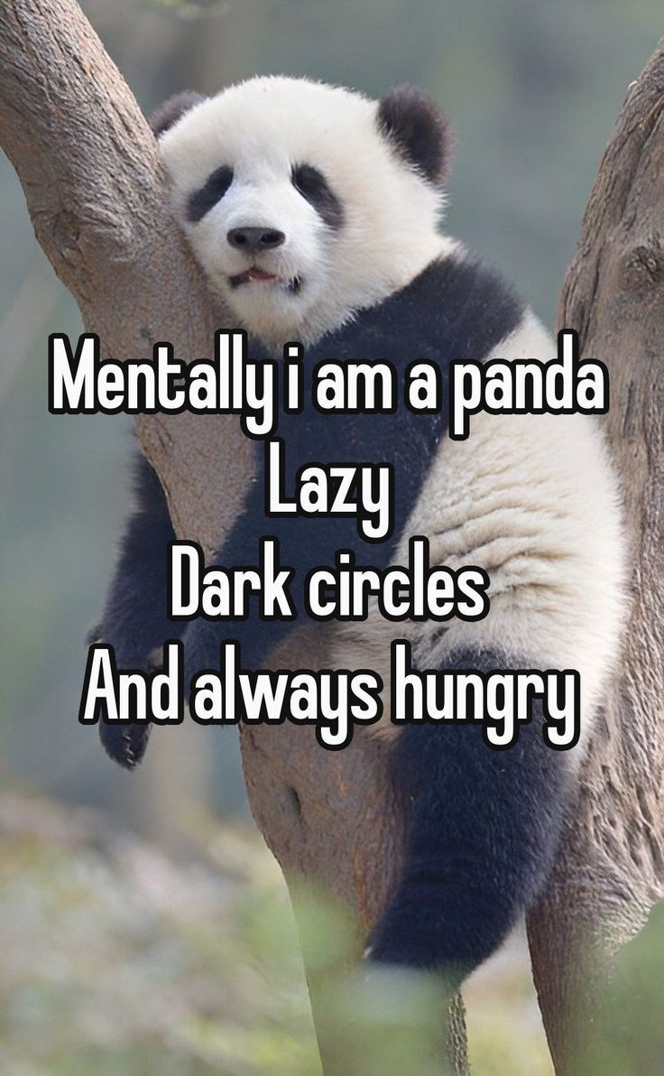 Mentally i am a panda Lazy Dark circles And always hungry