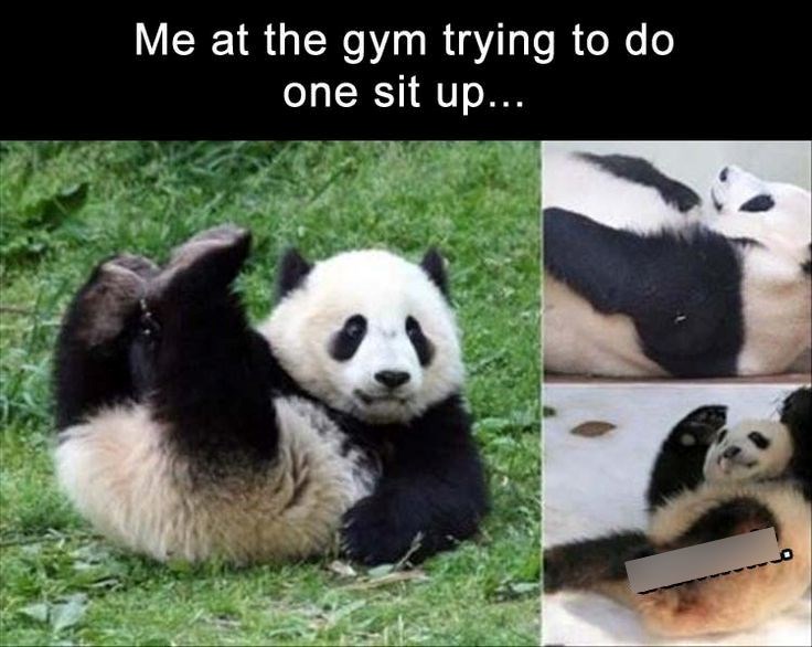 Me at the gym trying to do one sit up...