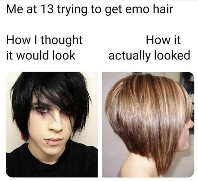 Me at 13 trying to get emo hair How I thought it would look How it actually looked