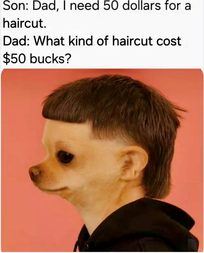 Son: Dad, I need 50 dollars for a haircut. Dad: What kind of haircut cost $50 bucks?