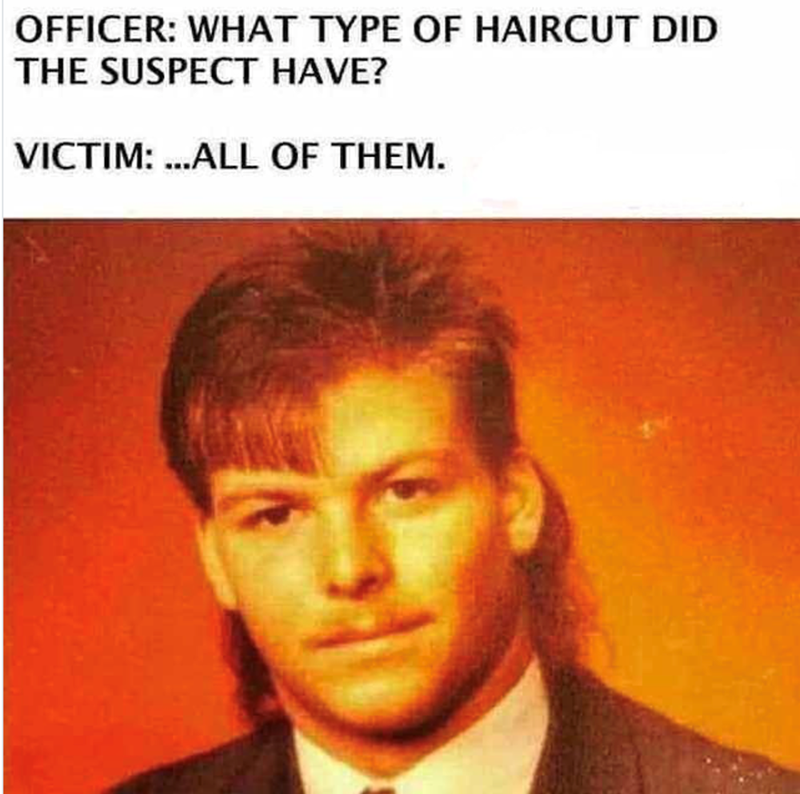 OFFICER: WHAT TYPE OF HAIRCUT DID THE SUSPECT HAVE? VICTIM: ...ALL OF THEM.