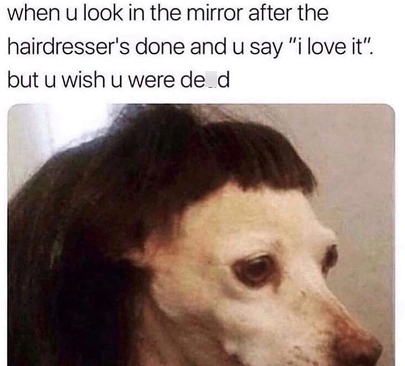 when u look in the mirror after the hairdresser's done and u say "i love it". but u wish u were de d
