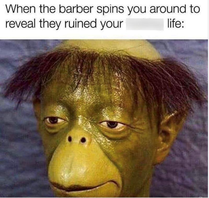 When the barber spins you around to reveal they ruined your life: