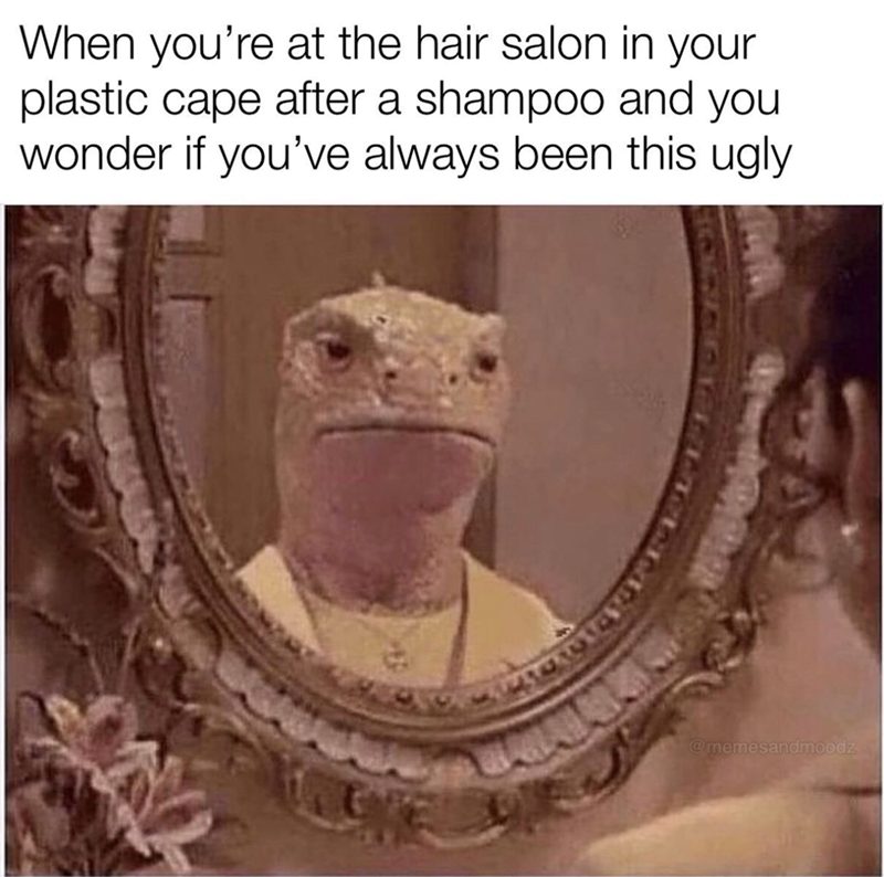 When you're at the hair salon in your plastic cape after a shampoo and you wonder if you've always been this ugly @memesandmoodz