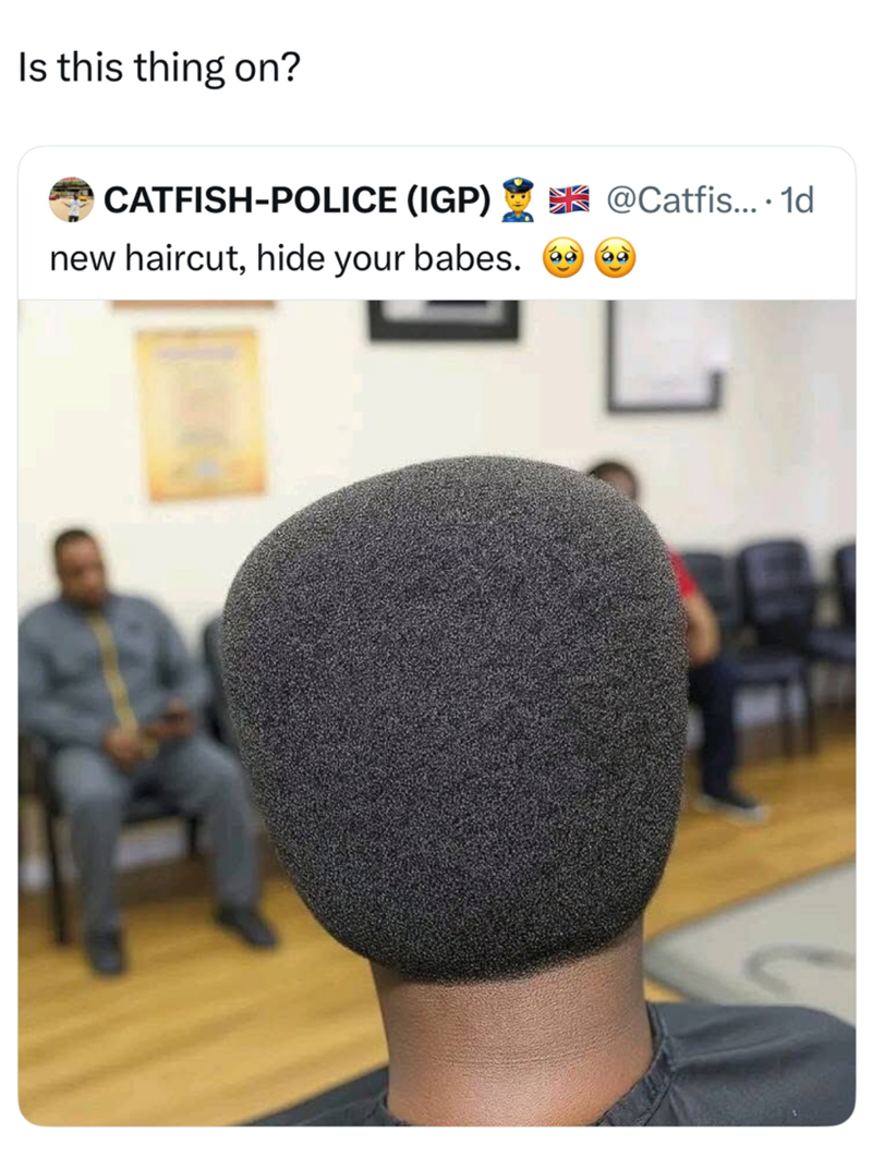 Is this thing on? CATFISH-POLICE (IGP) new haircut, hide your babes. K@Catfis.... 1d 6960