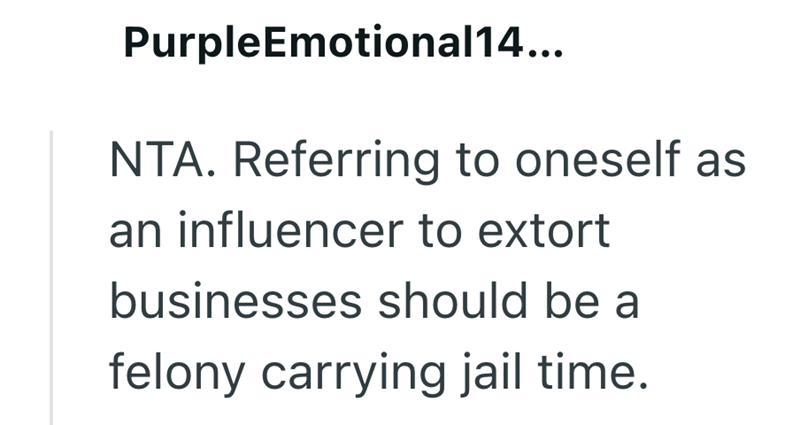 PurpleEmotional14... NTA. Referring to oneself as an influencer to extort businesses should be a felony carrying jail time.
