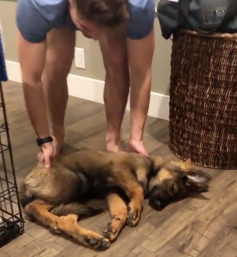 Cheezburger Image 10626923520