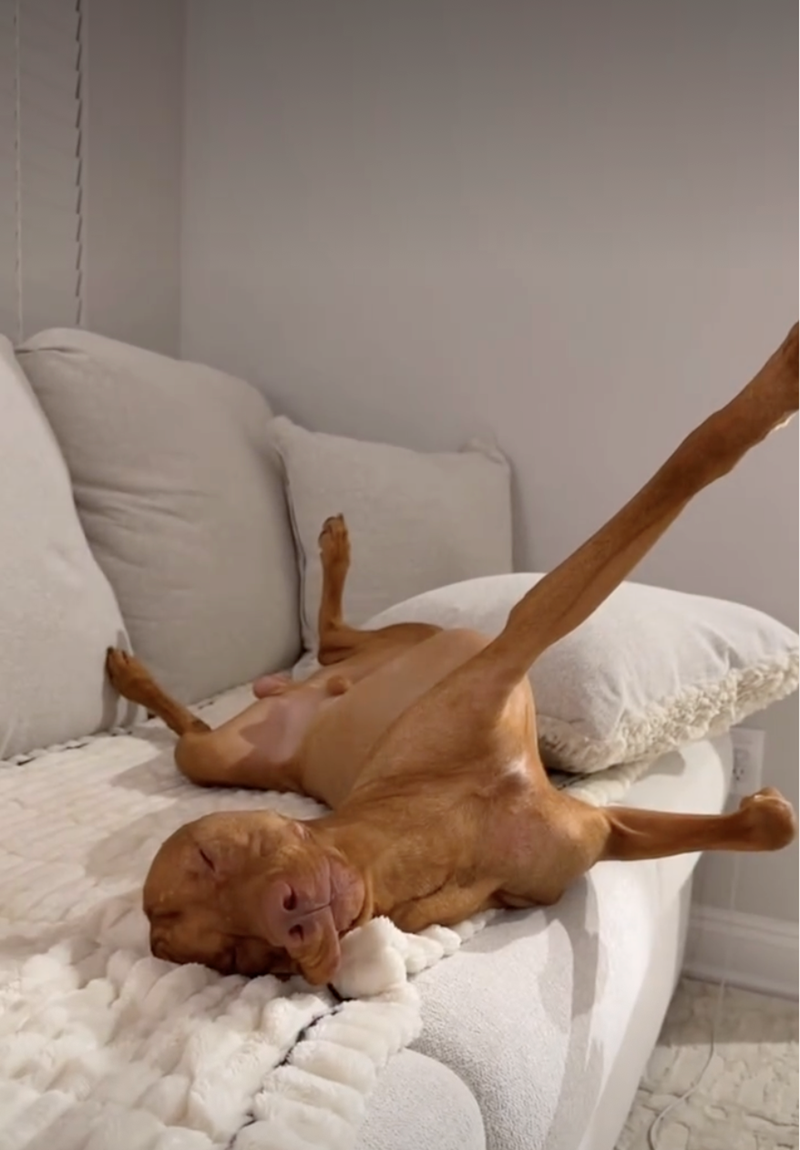 Cheezburger Image 10626924032