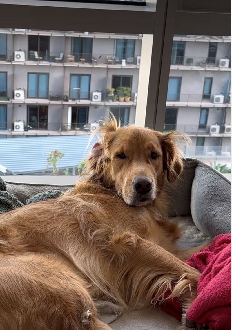 Cheezburger Image 10626924544