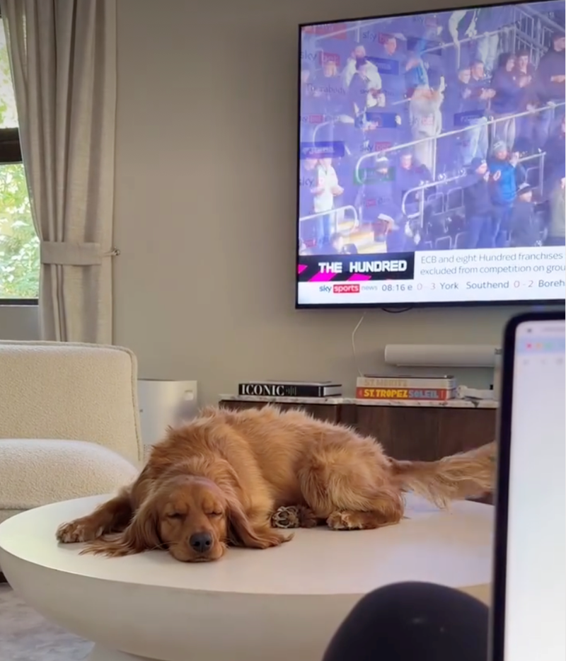 ley To rabody styl kcy THE HUNDRED ECB and eight Hundred franchises excluded from competition on grou sky sports news 08:16 e 0 3 York Southend 0-2 Boreh ICONIC ST TROPEZ SOLEIL I