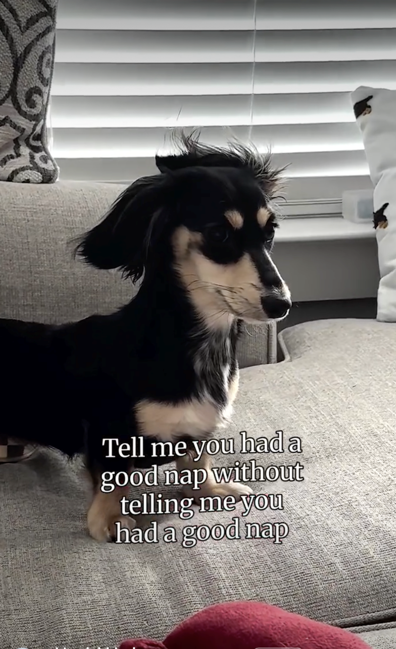 Tell me you had a good nap without telling me you had a good nap