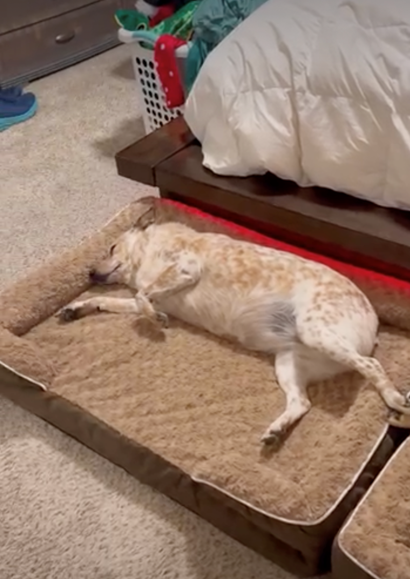 Cheezburger Image 10626927616