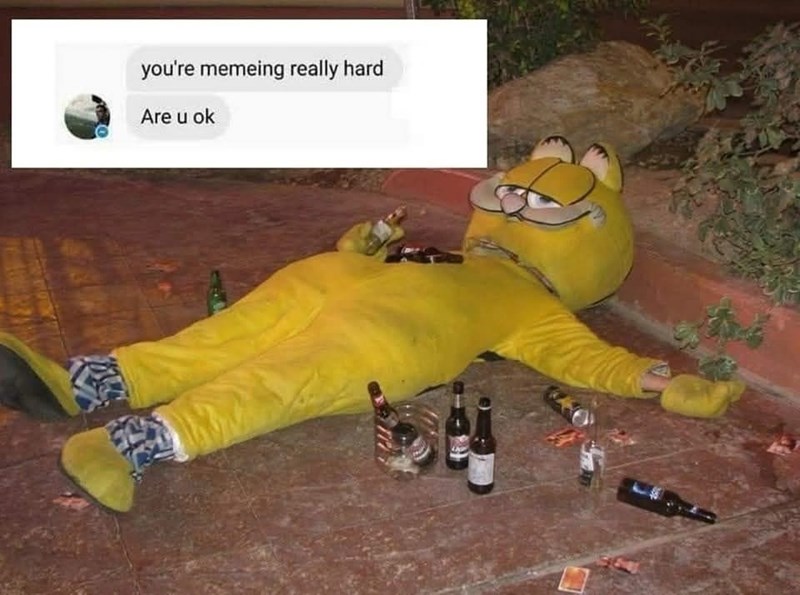you're memeing really hard Are u ok