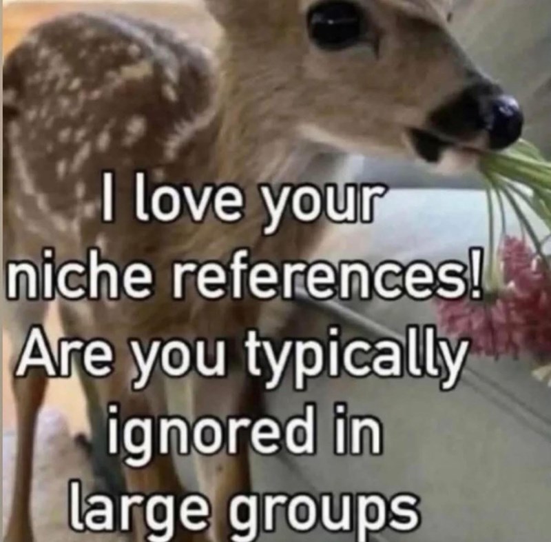 I love your niche references! Are you typically ignored in large groups