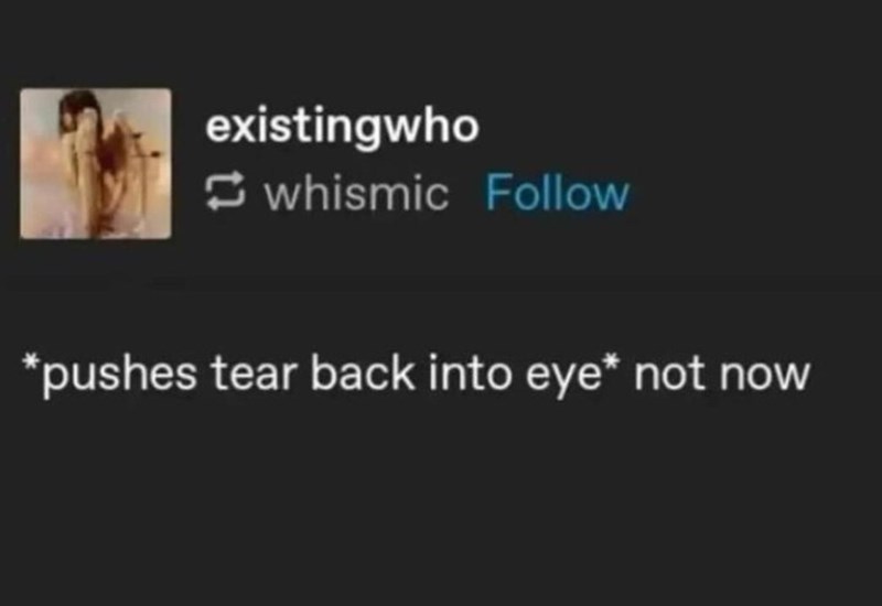 existingwho whismic Follow *pushes tear back into eye* not now