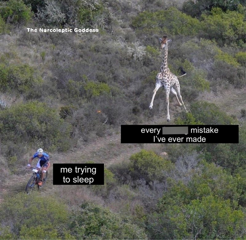 The Narcoleptic Goddess me trying to sleep every mistake I've ever made