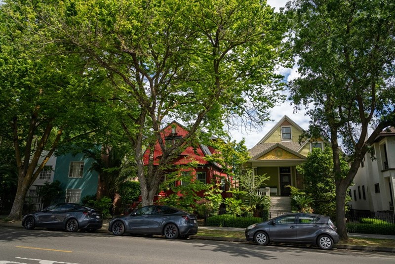 A neighborhood filled with trees and colored houses.