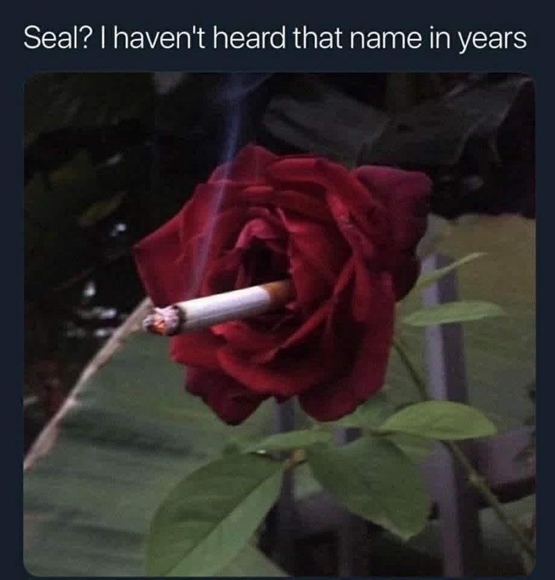 Seal? I haven't heard that name in years