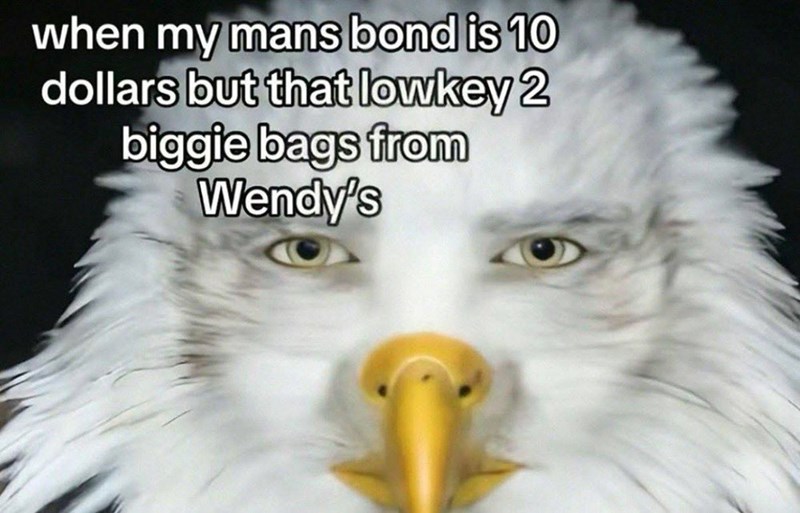 when my mans bond is 10 dollars but that lowkey 2 biggie bags from Wendy's