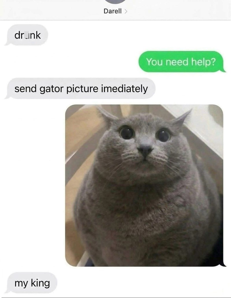 dr_ink Darell send gator picture imediately You need help? my king