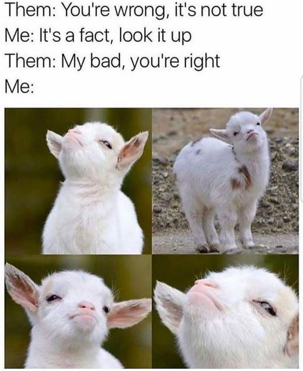 Them: You're wrong, it's not true Me: It's a fact, look it up Them: My bad, you're right Me: