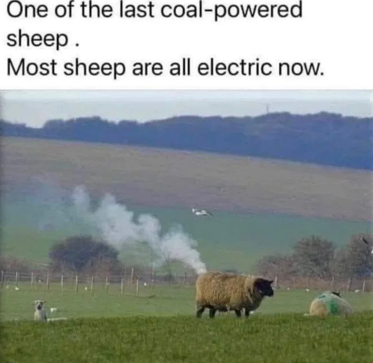 One of the last coal-powered sheep. Most sheep are all electric now.