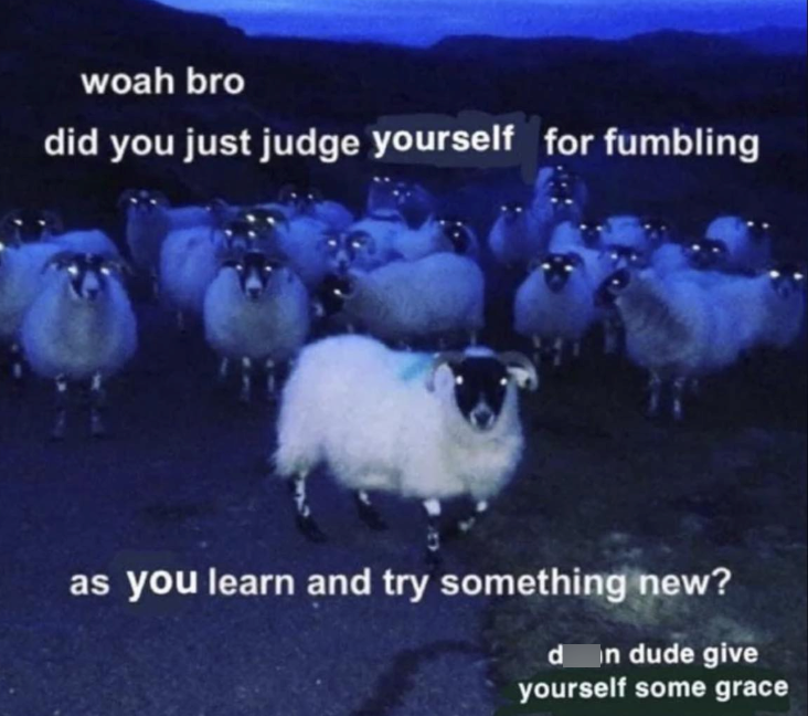 woah bro did you just judge yourself for fumbling as you learn and try something new? din dude give yourself some grace