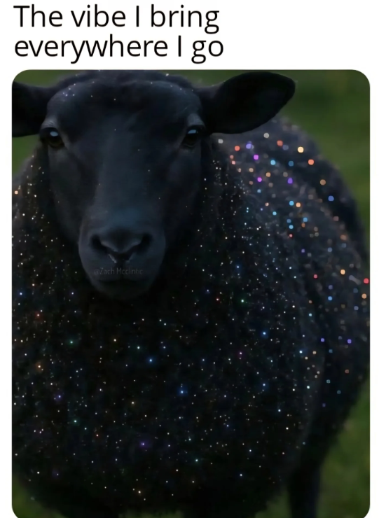 The vibe I bring everywhere I go @Zach Mcclintic