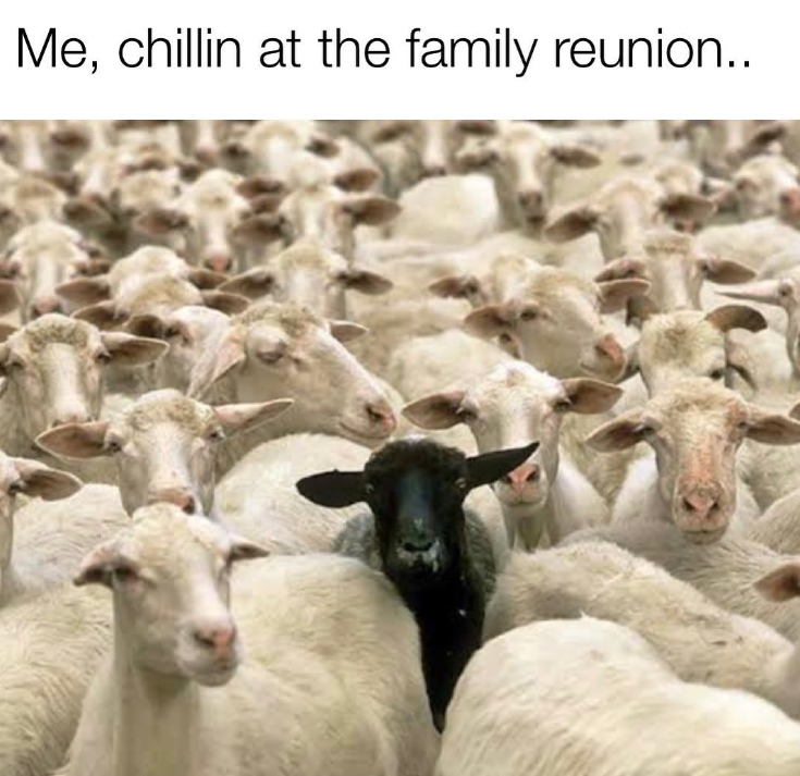 Me, chillin at the family reunion..