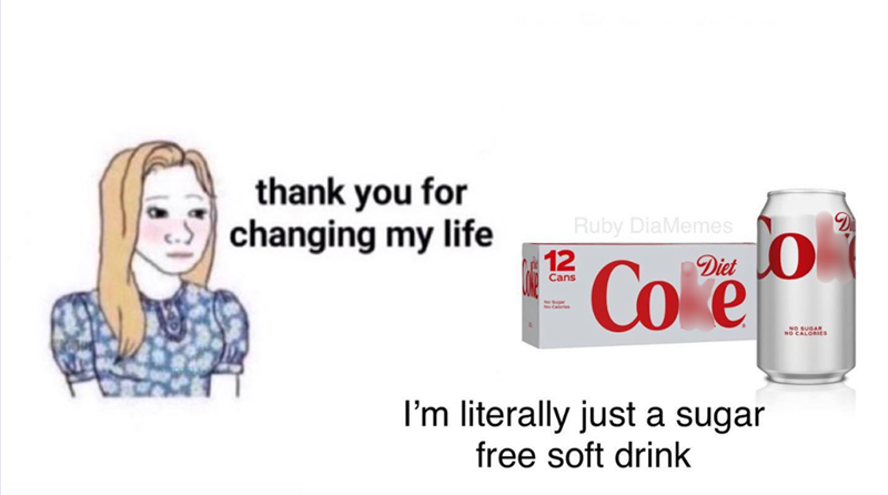 thank you for changing my life 12 Cans Ruby DiaMemes Diet Cove I'm literally just a sugar free soft drink O NO SUGAR