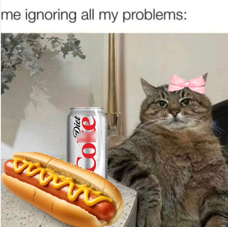 me ignoring all my problems: www Diet