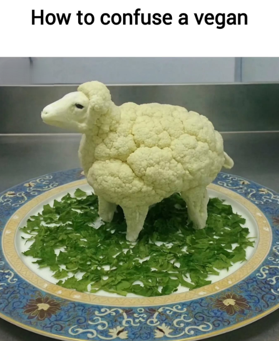 76025 How to confuse a vegan